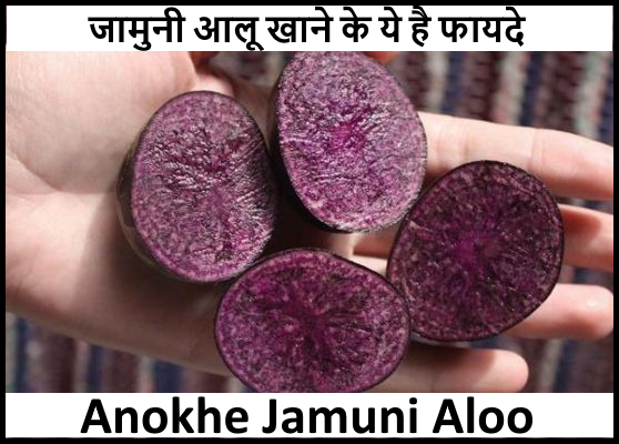 Anokhe Jamuni Aloo – जो नहीं होने देते इंसान को बूढ़ा