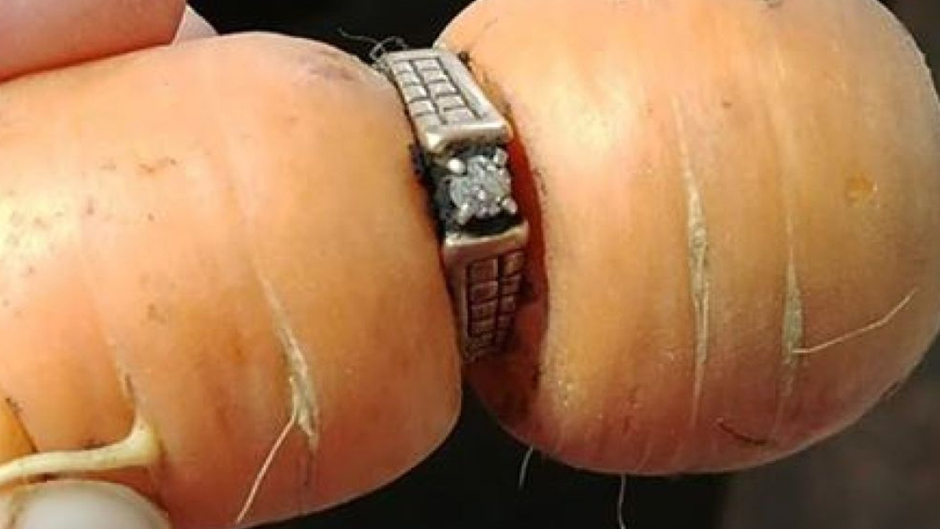 Read more about the article अजब-गजब – १३ साल बाद गाजर में मिली महिला की सगाई की अंगूठी