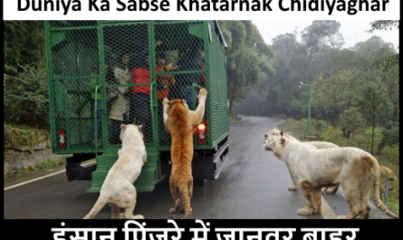 Duniya Ka Sabse Khatarnak Chidiyaghar , यहाँ जानवर नहीं इंसान रहते है पिंजरे में