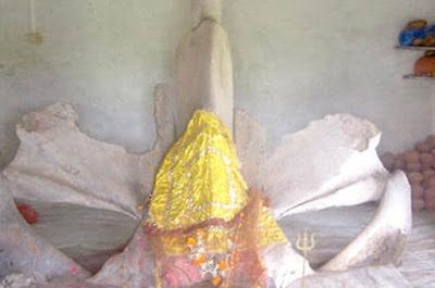 मत्स्य माताजी - एक अनोखा मंदिर जहाँ होती है व्हेल मछली की पूजा