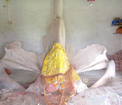 मत्स्य माताजी – एक अनोखा मंदिर जहाँ होती है व्हेल मछली की पूजा